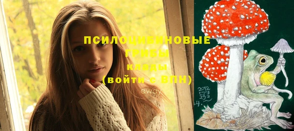 дмт Белоозёрский